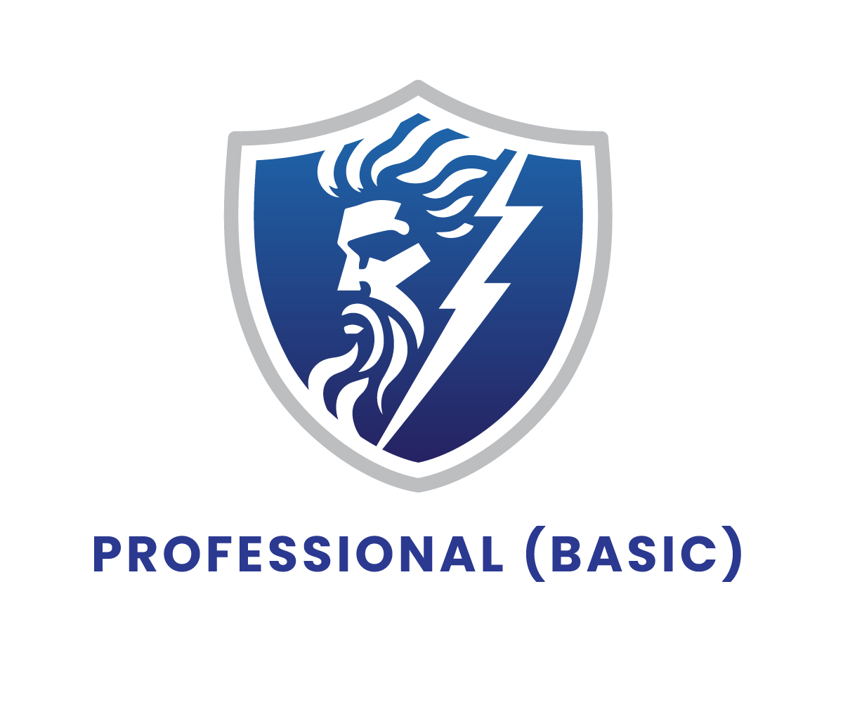 Security Pros Basic Badge