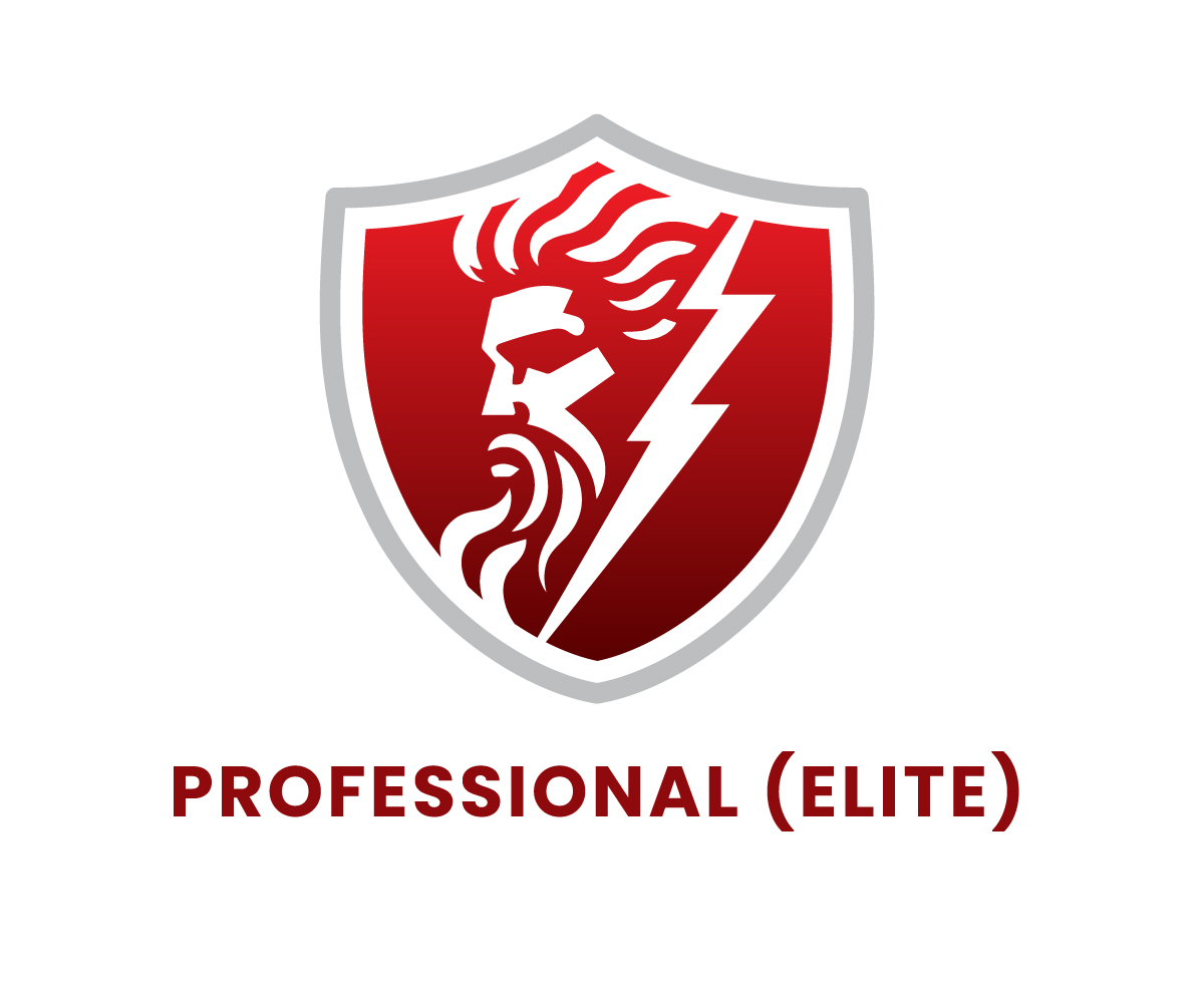 Security Pros _ Elite Badge
